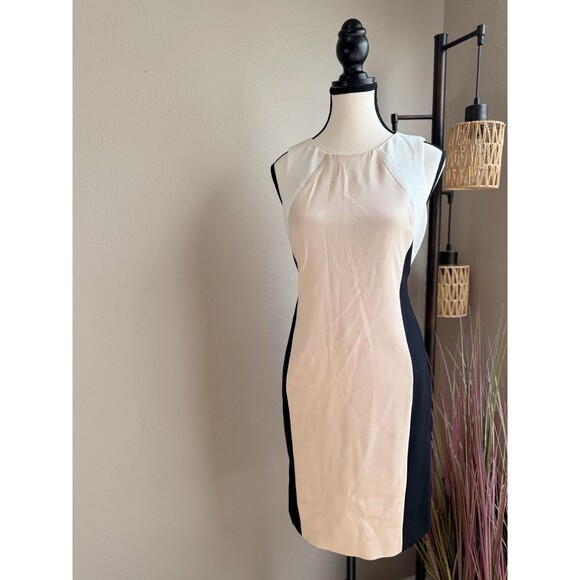 Ann Taylor Dresses & Skirts - Ann Taylor Dress Sleeveless Sheath Black Cream Tan Size 8P NWT
